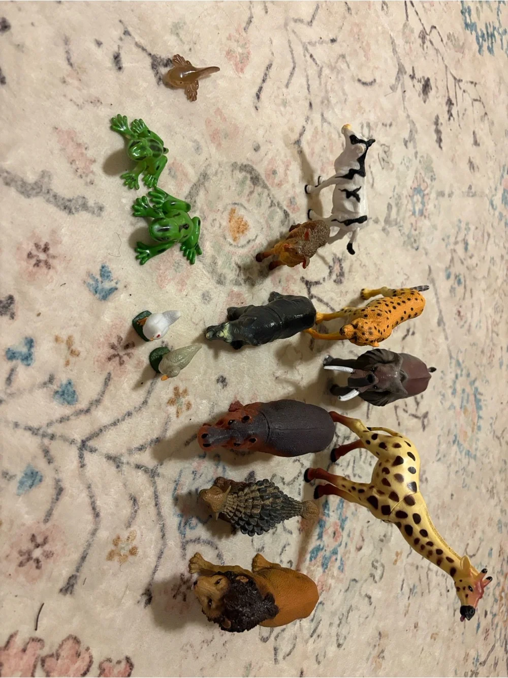 Target set assorted